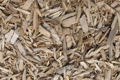 biomass boilers Ludlow